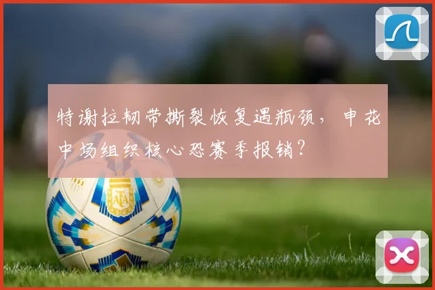特谢拉韧带撕裂恢复遇瓶颈,申花中场组织核心恐赛季报销?